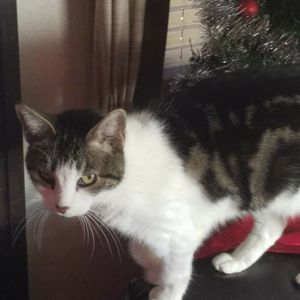 Meet your Posher, Judith